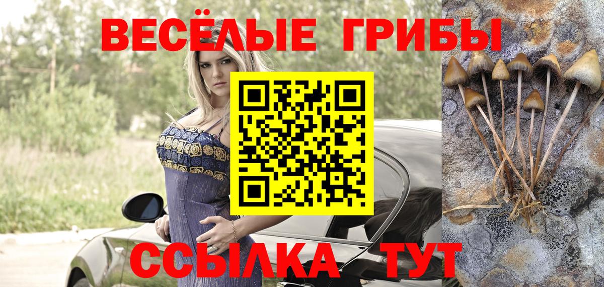 Галлюциногенные грибы Psilocybine cubensis  Вход с VPN  Карачаевск 